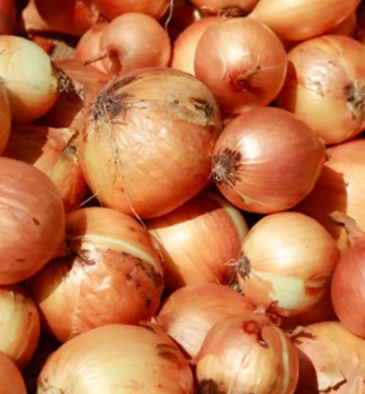 Pyaaz-White Onion